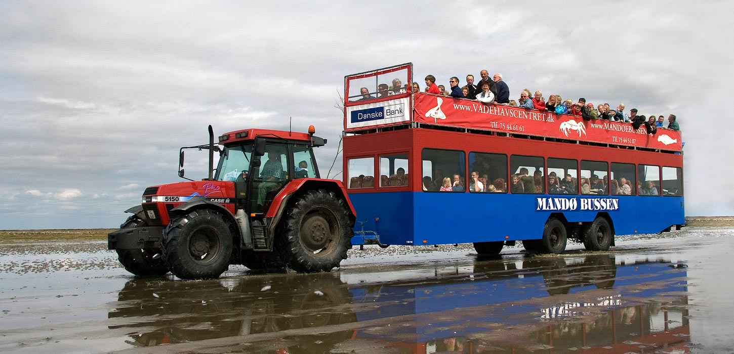 Mandøbussen | Mandø | Ribe | Vadehavskysten