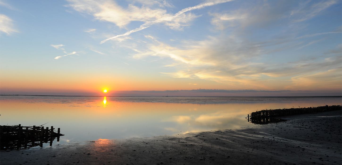 Kaldet fra Vadehavet