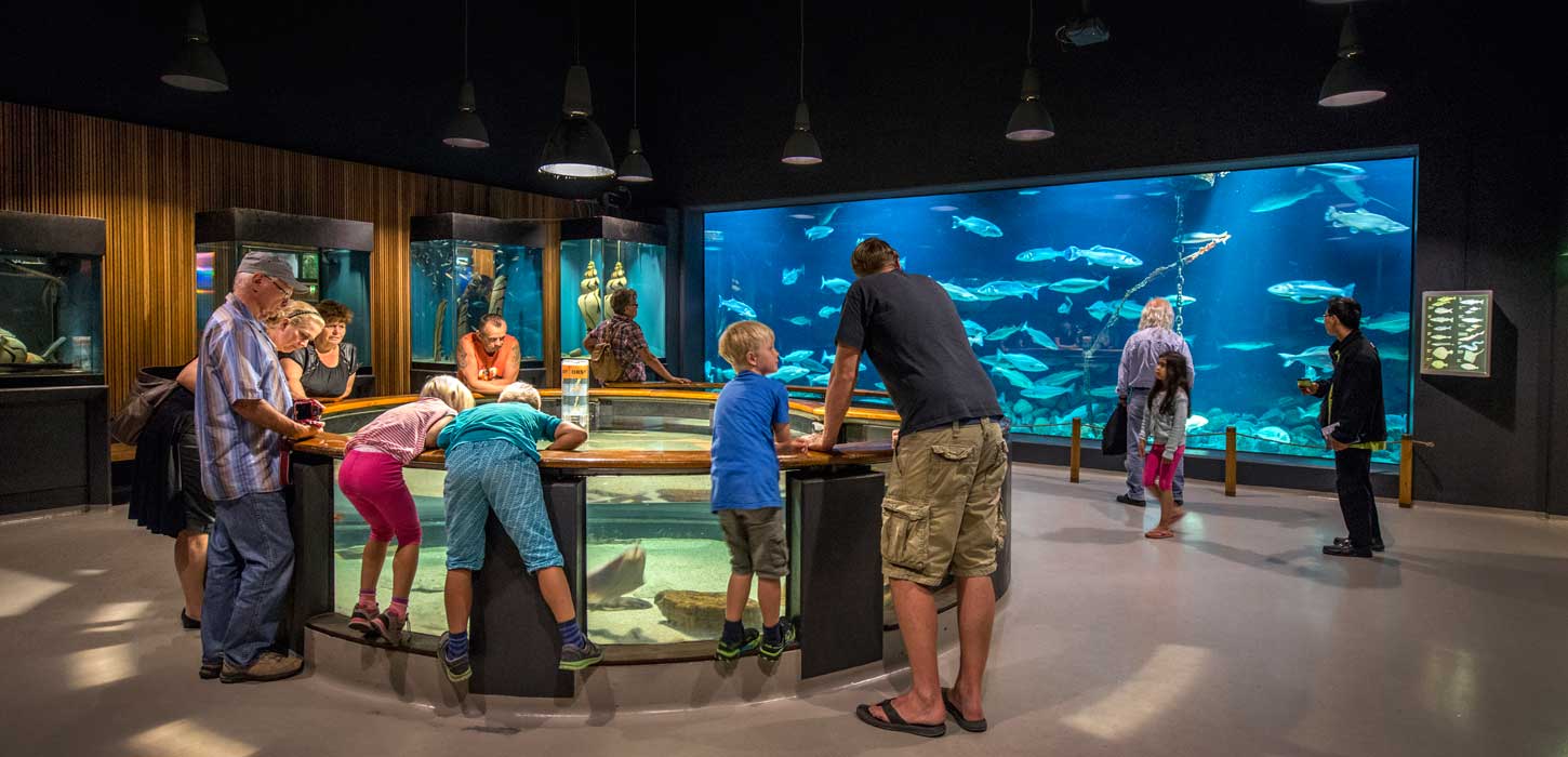 Fiskeri- og Søfartsmuseet