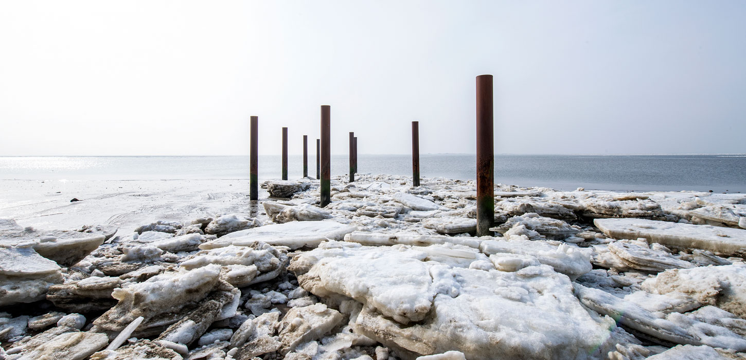 Winter at Hjerting Strand By the Wadden Sea