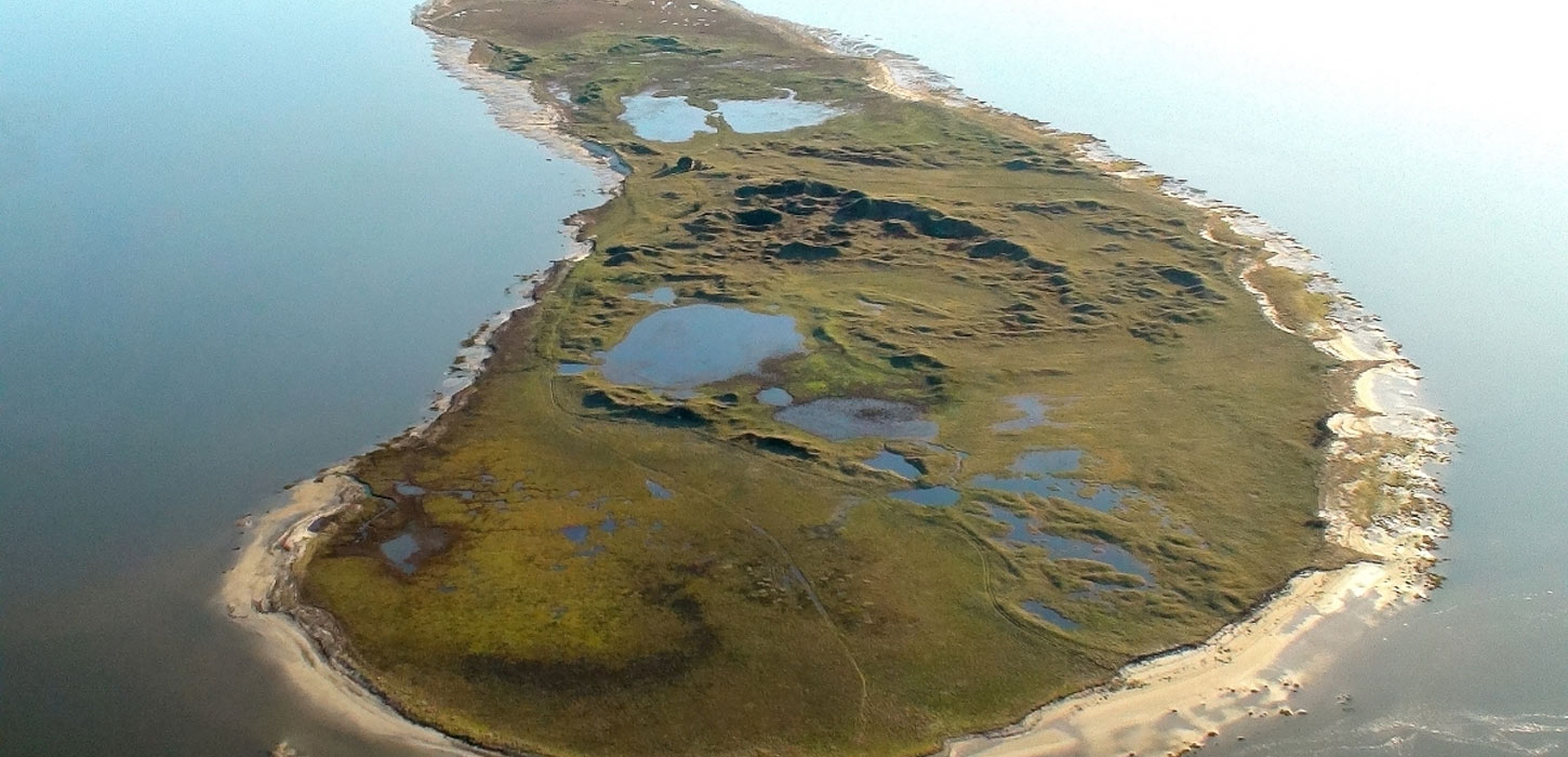 Langli - Nationalpark Vadehavet