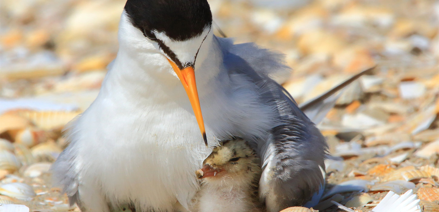 Verdensarvssteder i Danmark