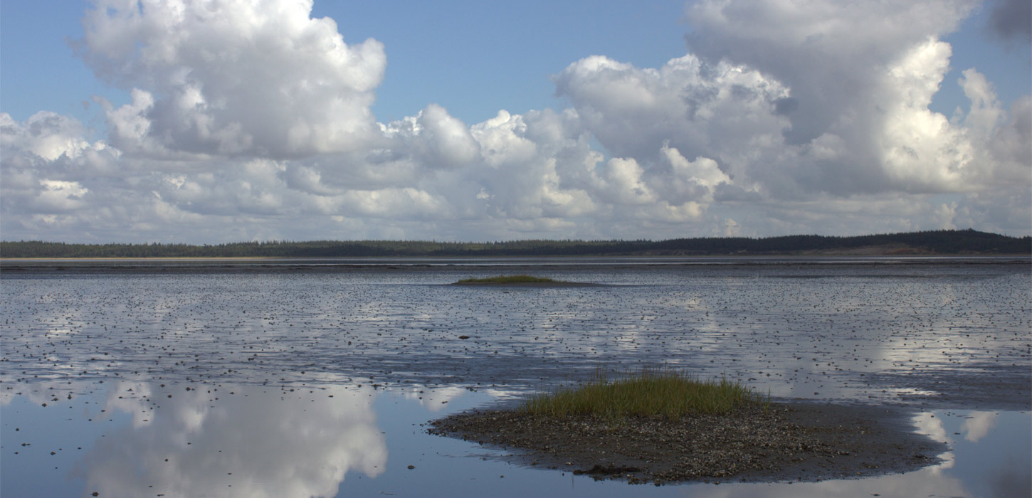 Virtuel tur i Vadehavsområdet