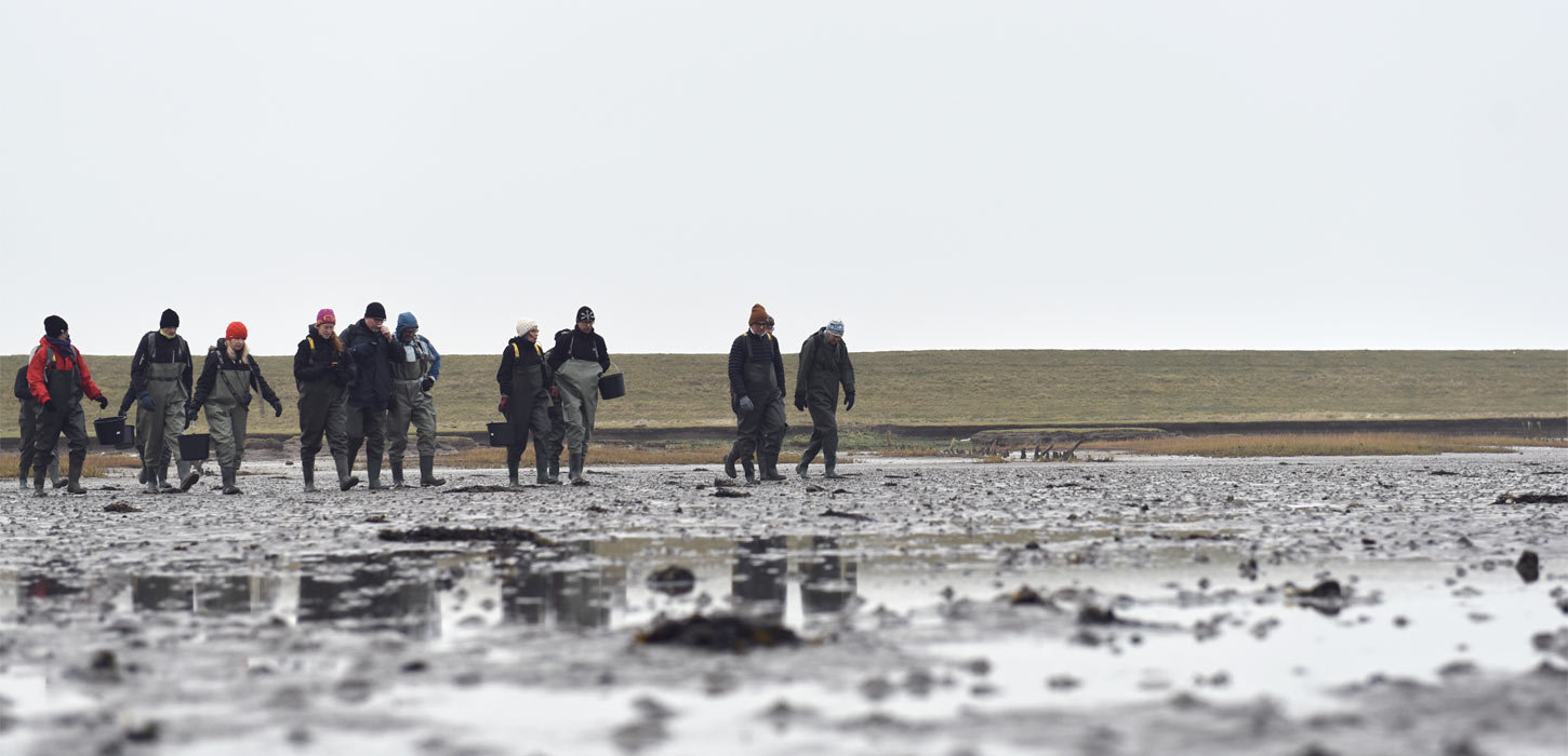 Meet&More | Pressemeddelelse