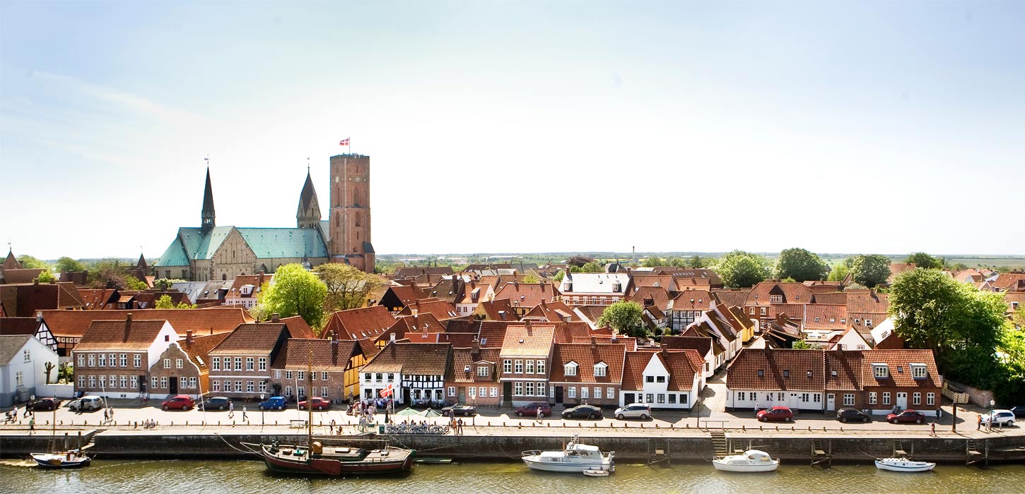 Ribe Domkirke og åen