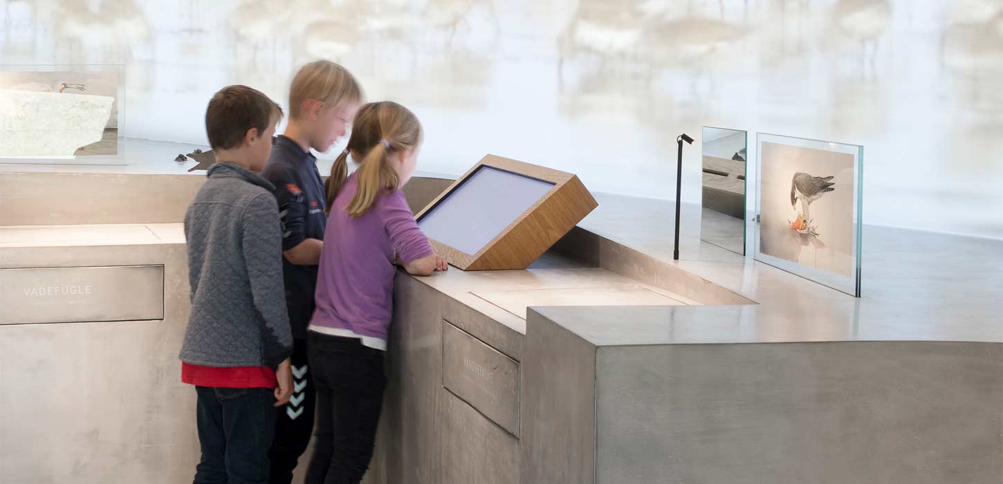 Vadehavscentret | Aktiviteter og ture i Nationalpark Vadehavet | Vadehavskysten