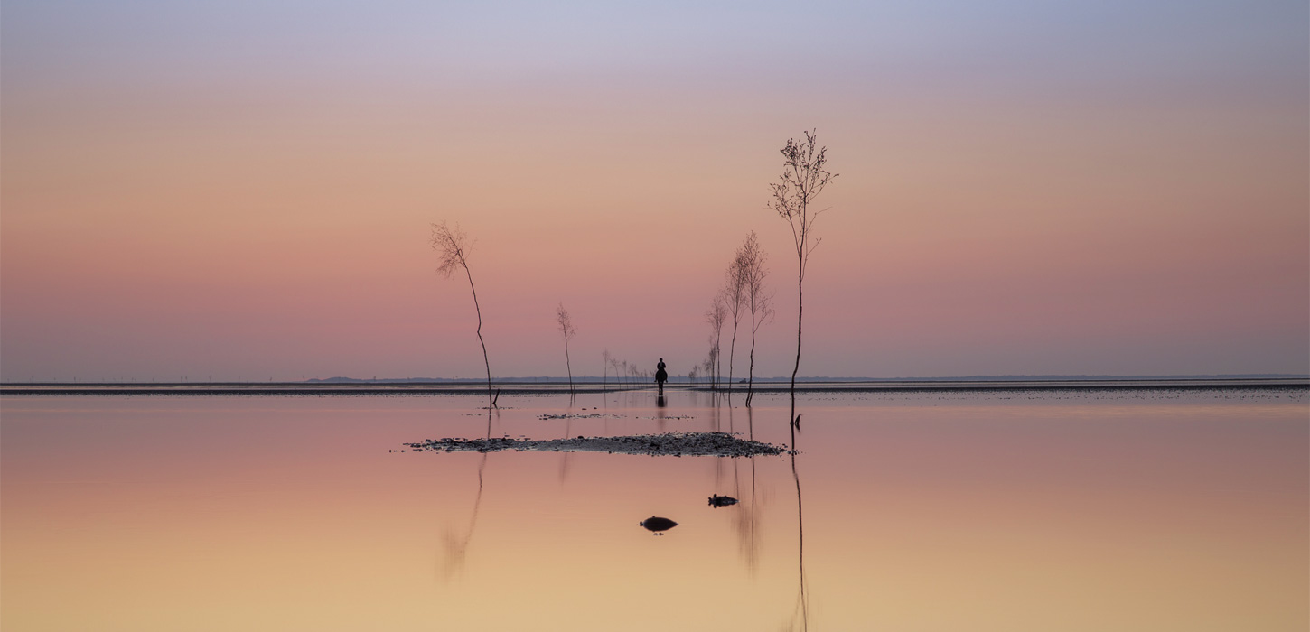 På hesteryg i Vadehavet