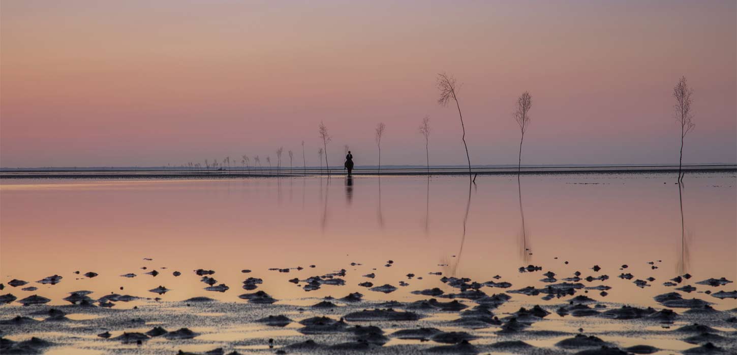 På hesteryg i Vadehavet | Vadehavskysten