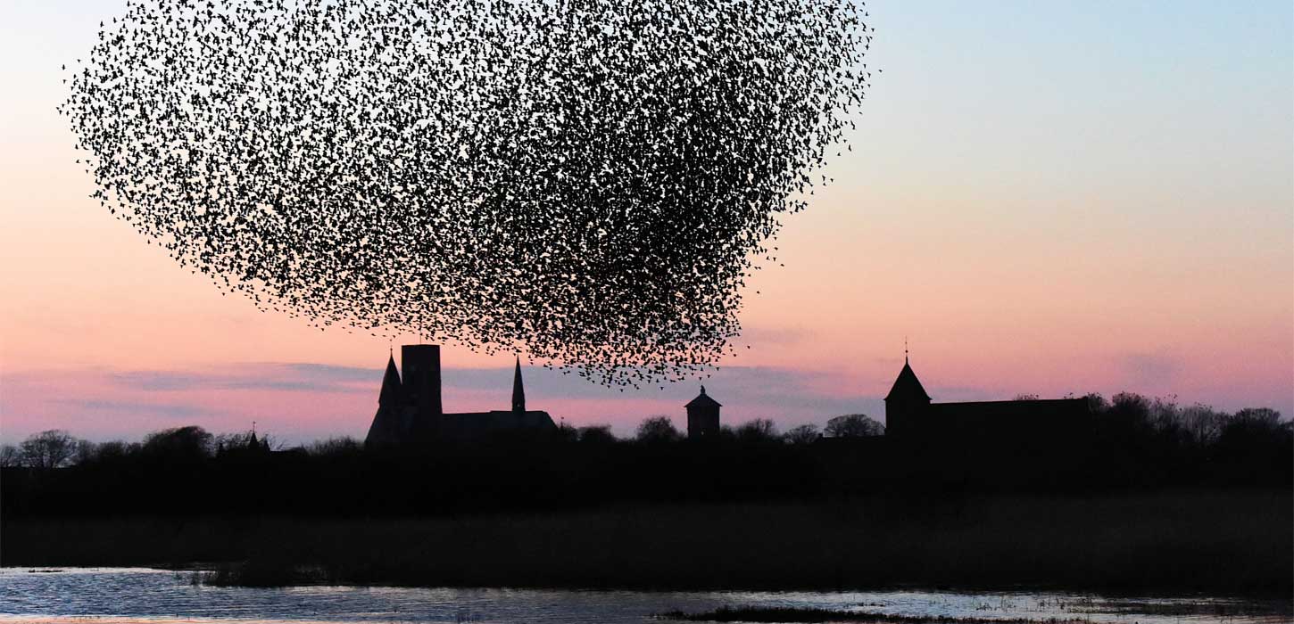 Black Sun over Ribe Cathedral | By the Wadden Sea
