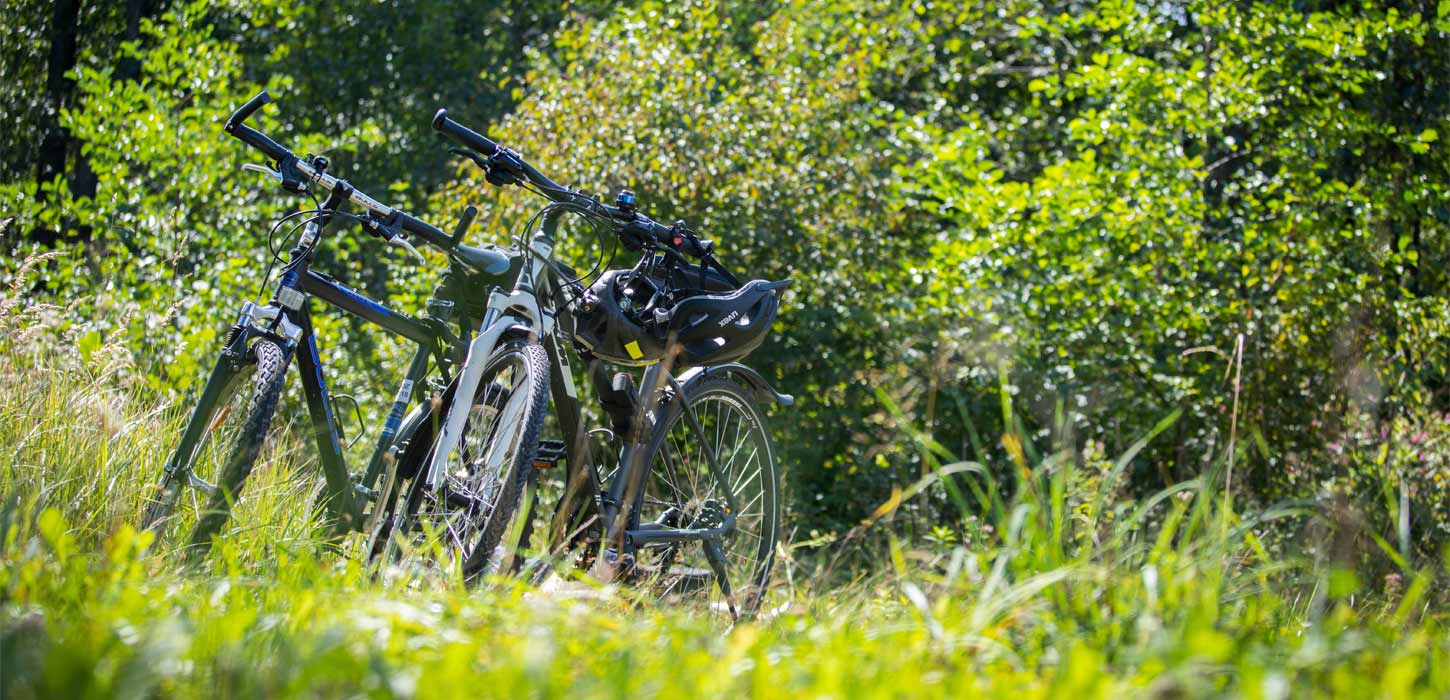 Parkerede cykler | Vadehavskysten
