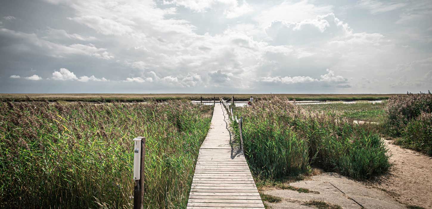 Wooden bridge towards the water on Fanø | By the Wadden Sea