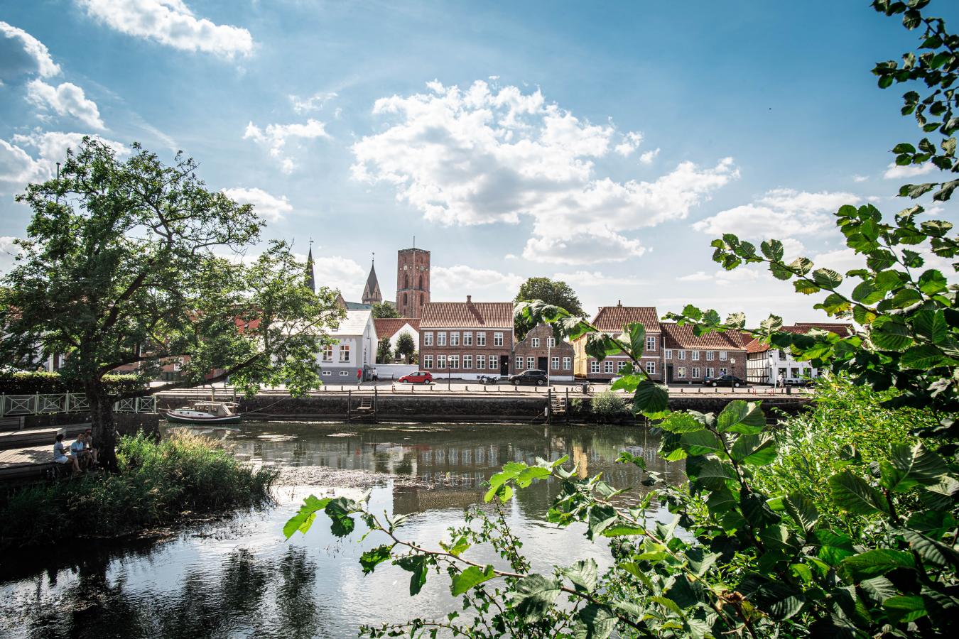 Ribe