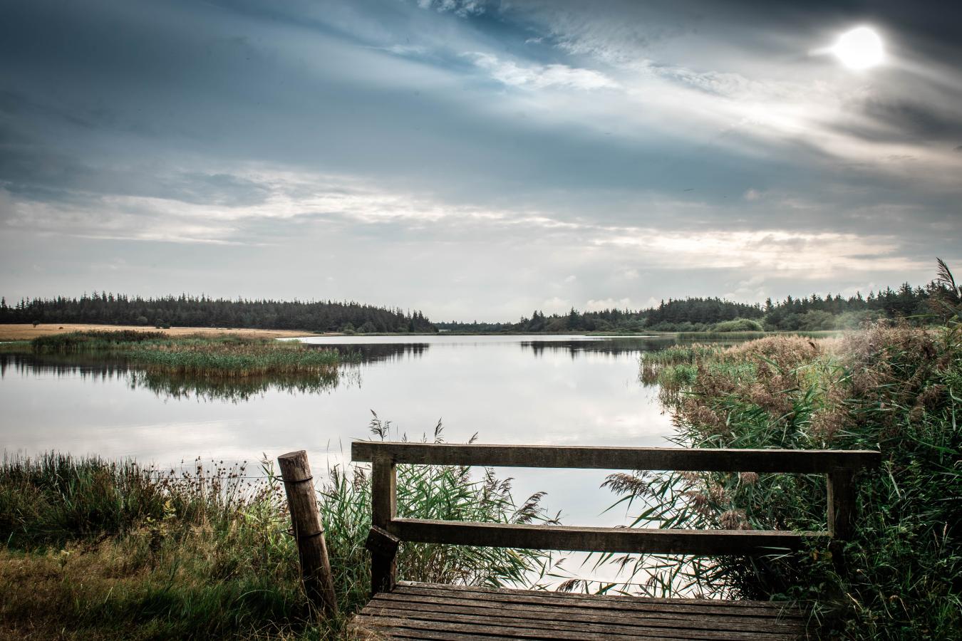 Kernefortælling Esbjerg