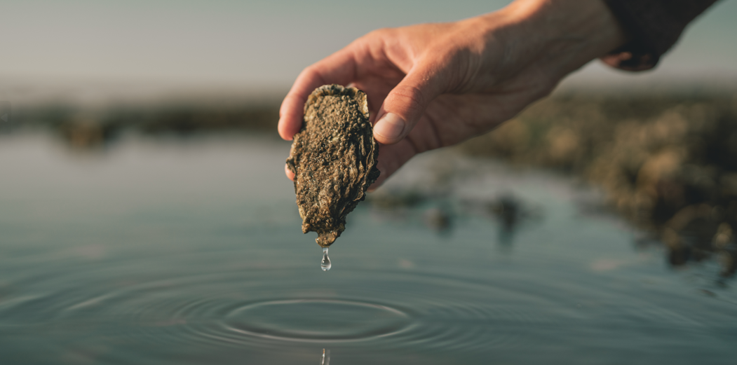 Ribe Østersfestival 2025