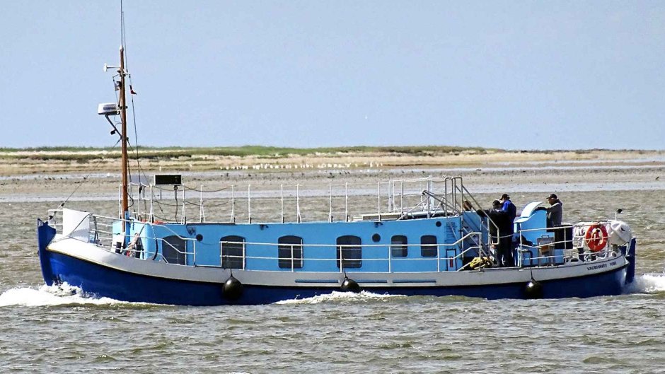 M/S Alice
