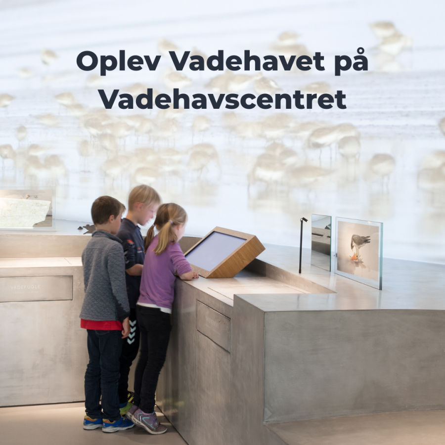 Vadehavscentret