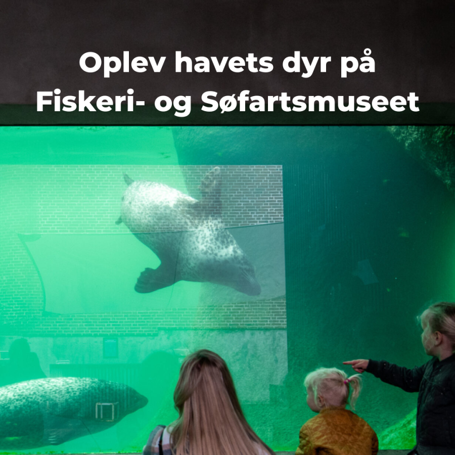 Fiskeri- og Søfartsmuseet