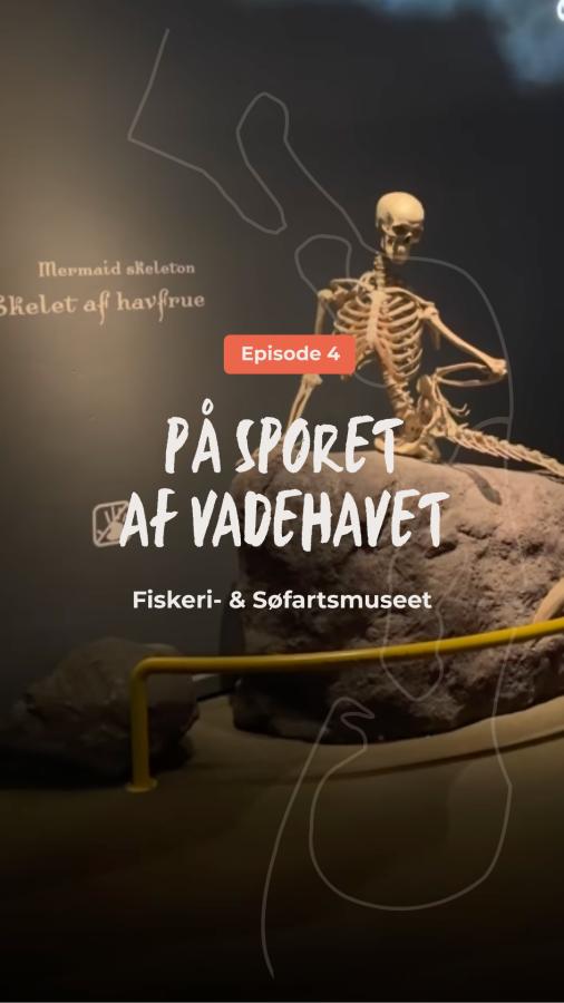 På sporet af Vadehavet - episode 4 - Fiskeri- og Søfartsmuseet