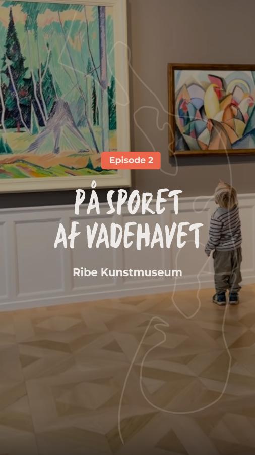 På sporet af Vadehavet - episode 2 - Ribe Kunstmuseum