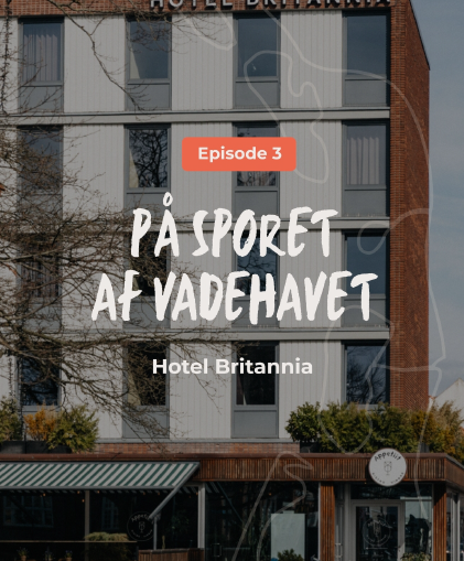 På sporet af Vadehavet - episode 3