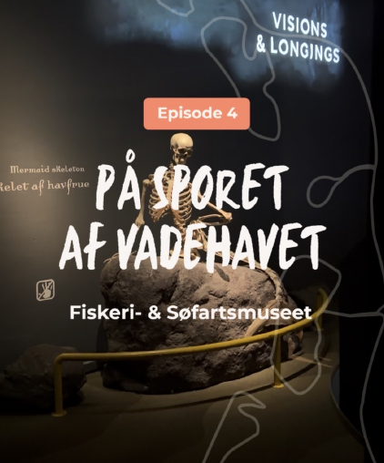 På sporet af Vadehavet - episode 4