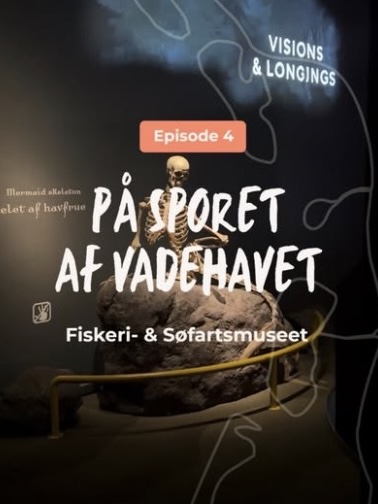På sporet af Vadehavet - episode 4