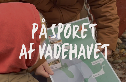 På sporet af Vadehavet