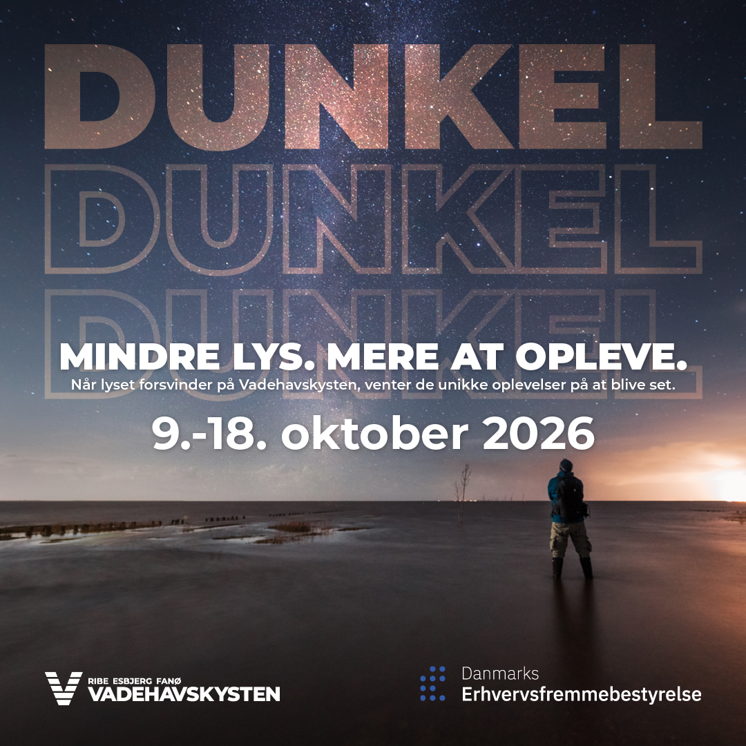 Dunkel 2026