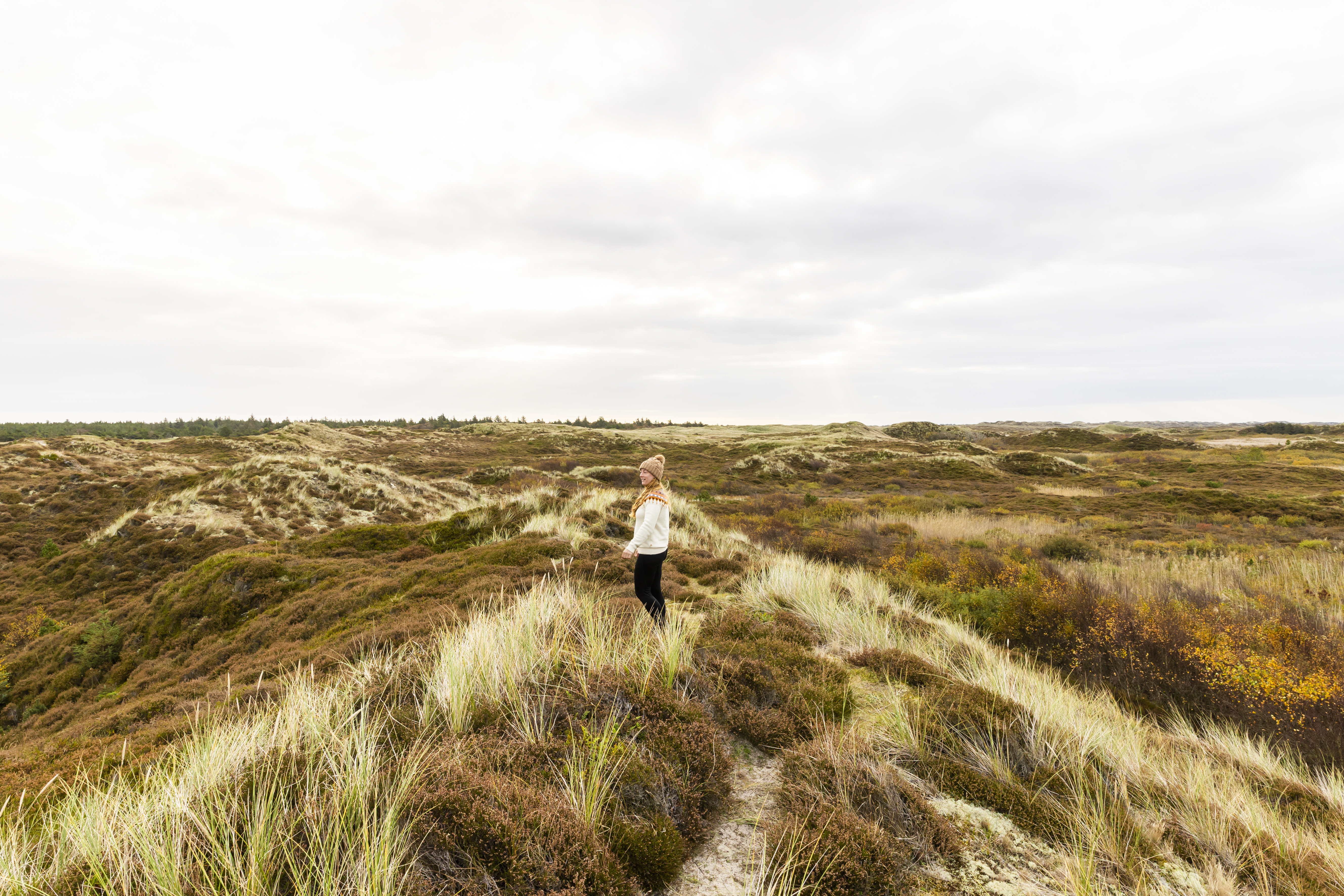 Fanø natur