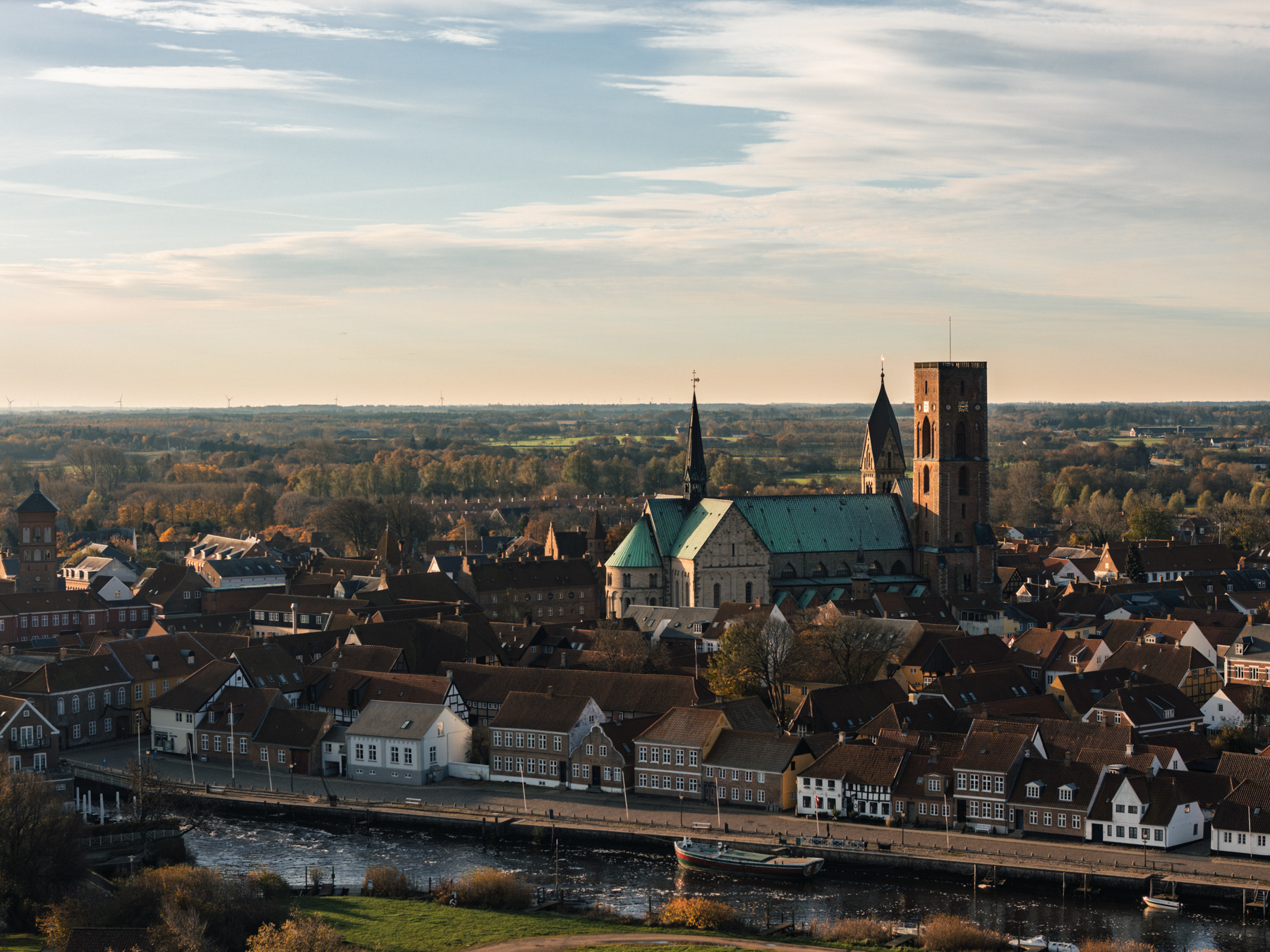 Ribe