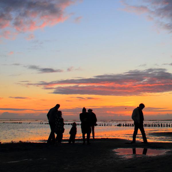 Wadden Sea National Park at sunset | By the Wadden Sea