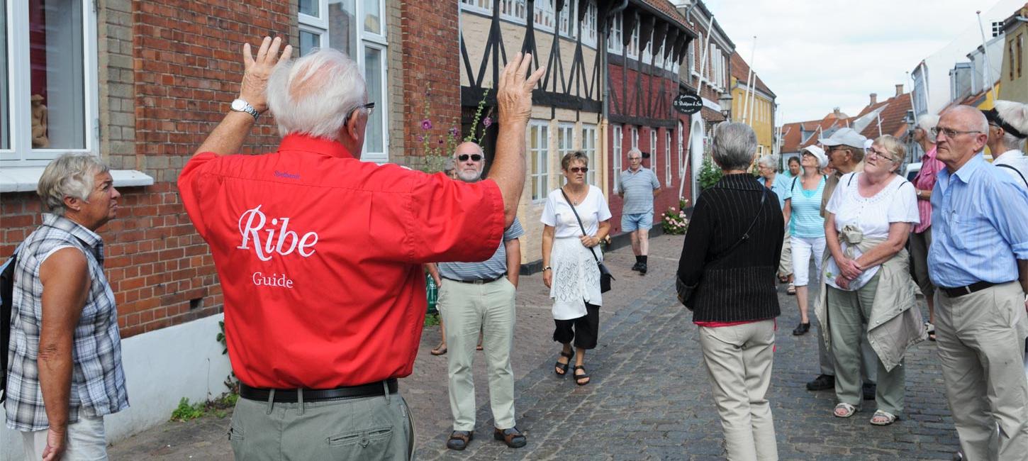 Ribe's guides tell stories | By the Wadden Sea
