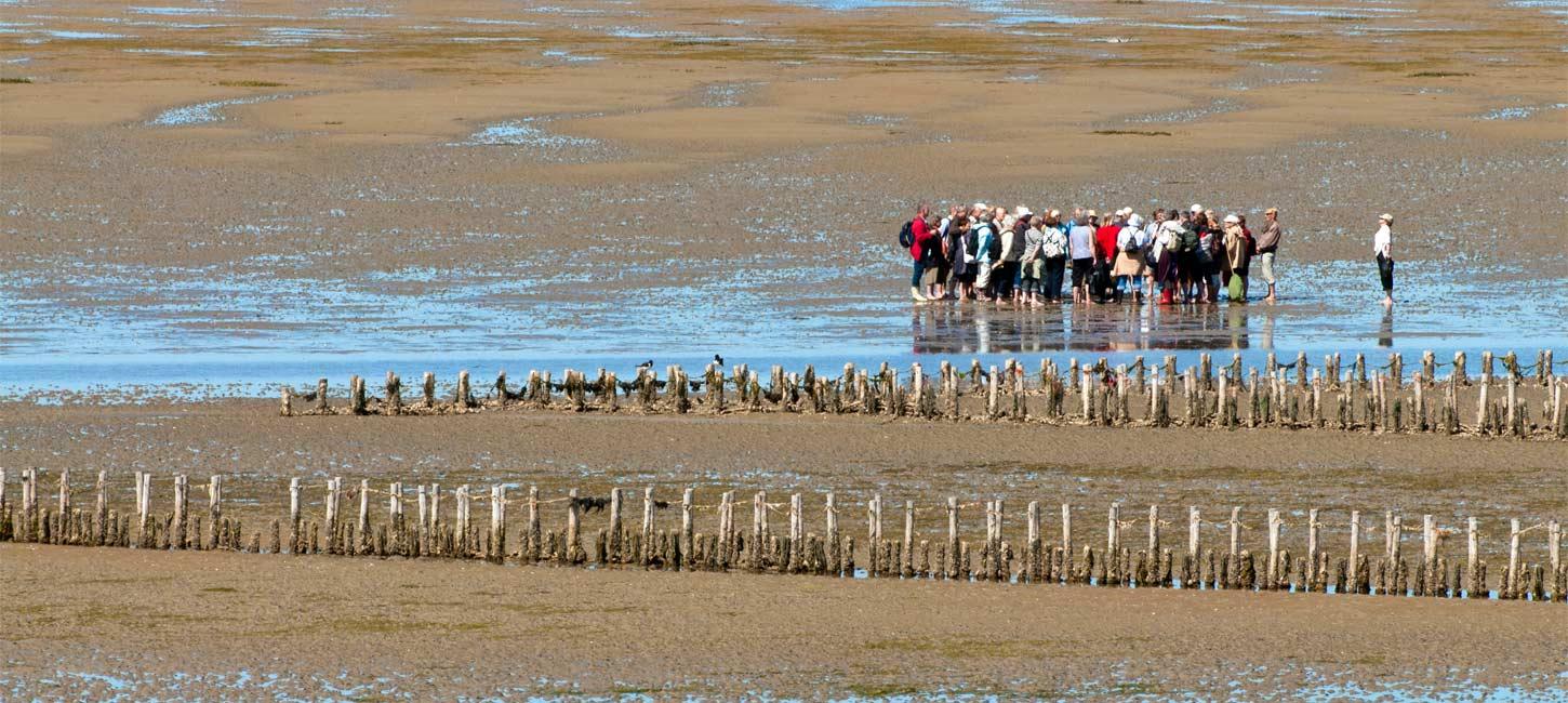 On a trip in the Wadden Sea National Park | By the Wadden Sea