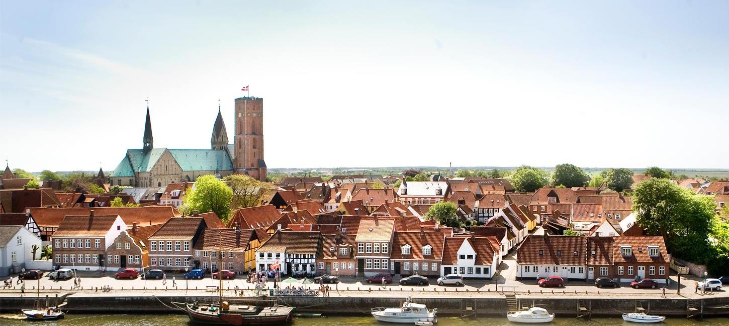 Ribe Domkirke og åen