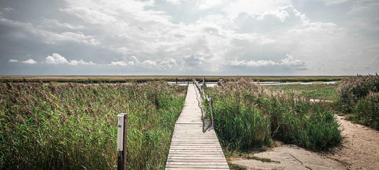 Wooden bridge towards the water on Fanø | By the Wadden Sea