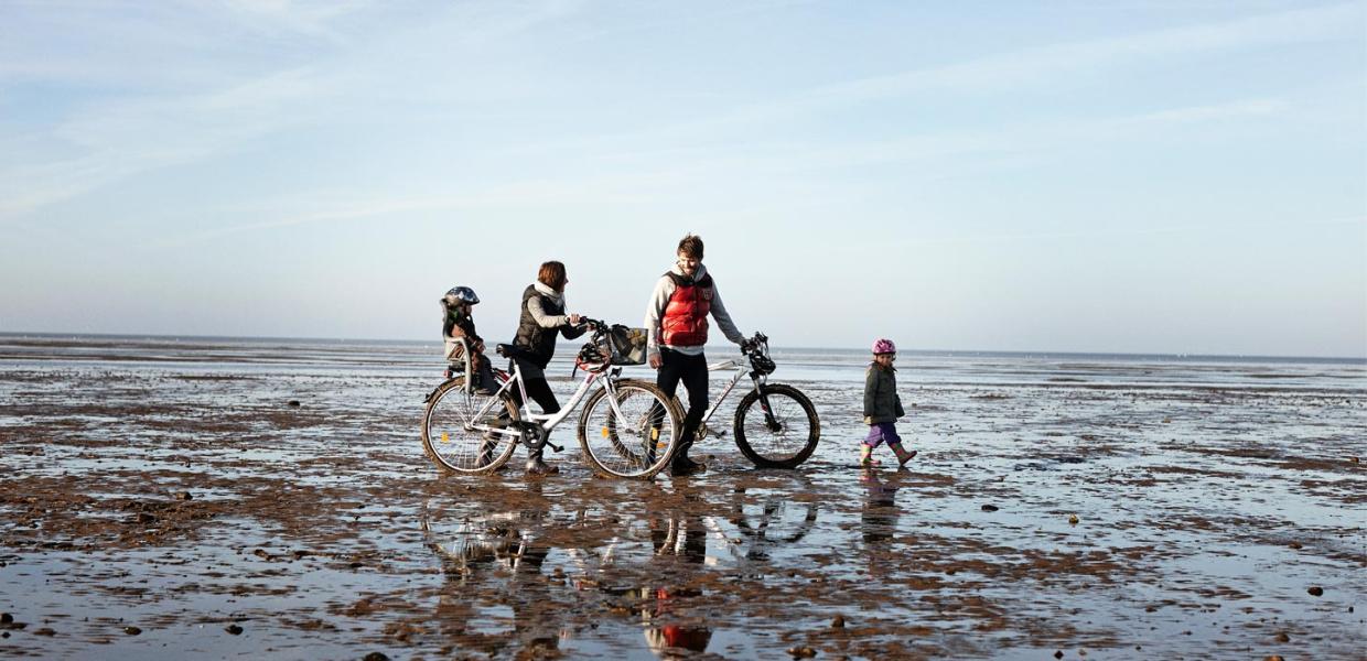 By bike | By the Wadden Sea