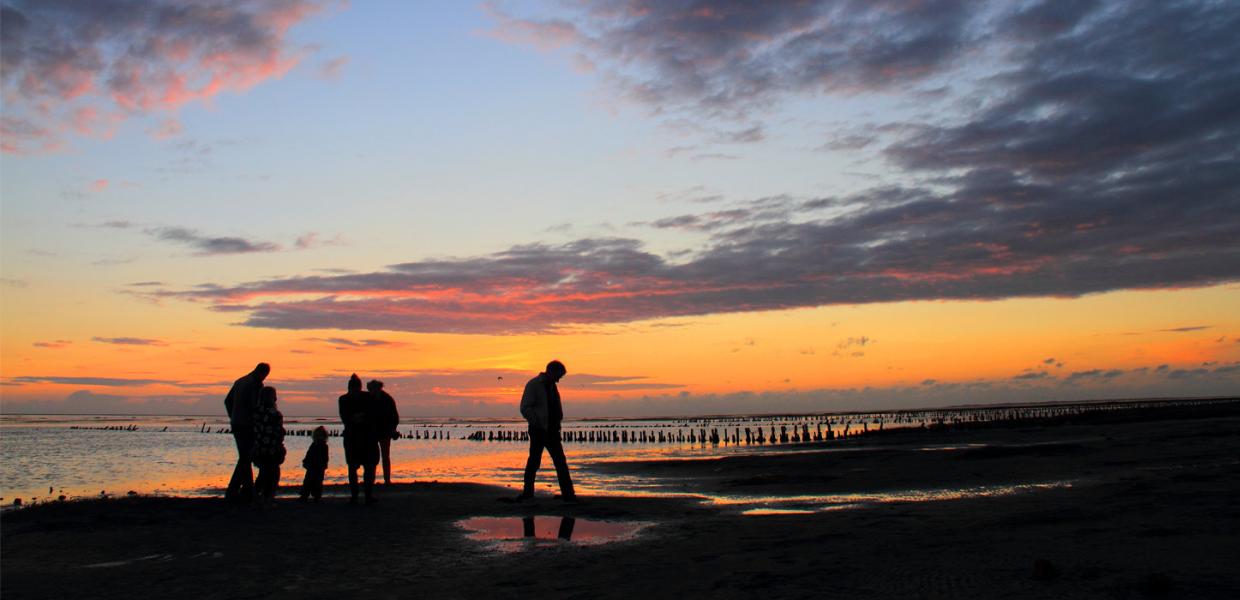 Wadden Sea National Park at sunset | By the Wadden Sea