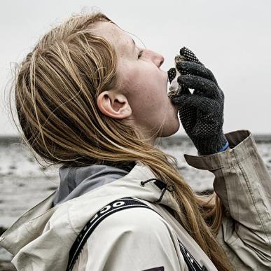 Eating oysters | By the Wadden Sea