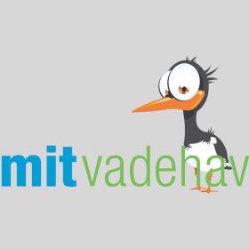 Mit Vadehav | Vadehavskysten