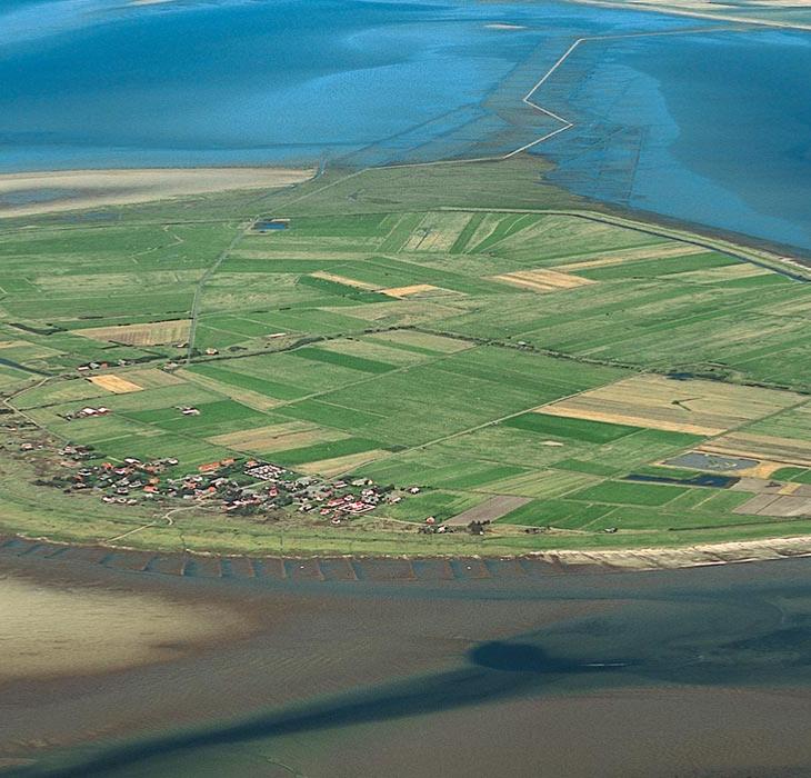 Mandø - the island in the Wadden Sea | By the Wadden Sea