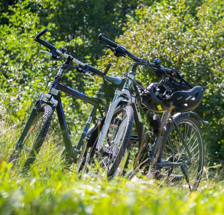 Parkerede cykler | Vadehavskysten