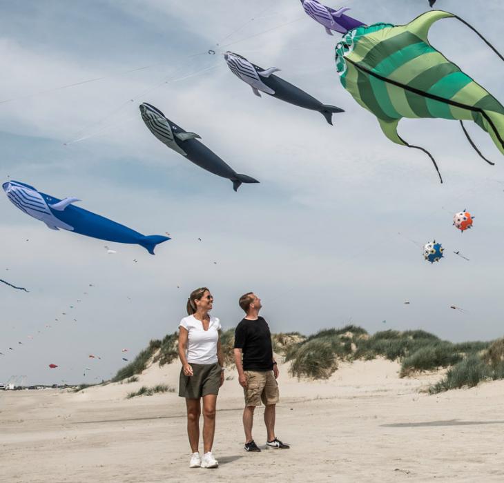 Drager på Fanø strand | Vadehavskysten