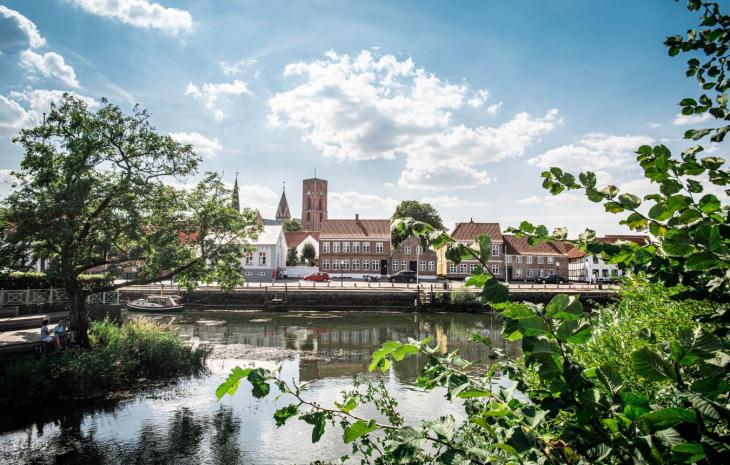 Ribe